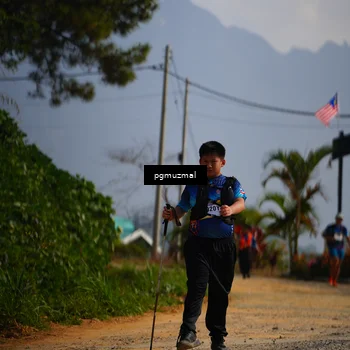 Runner Photo 5276452