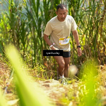 Runner Photo 5276473