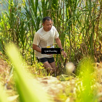 Runner Photo 5276474