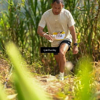 Runner Photo 5276482
