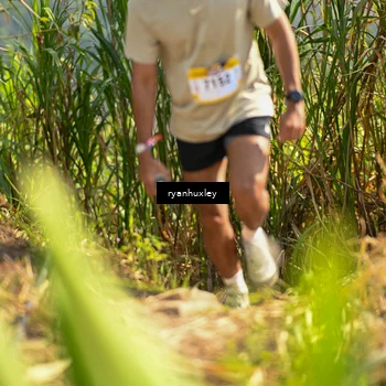 Runner Photo 5276510