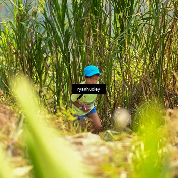 Runner Photo 5276577