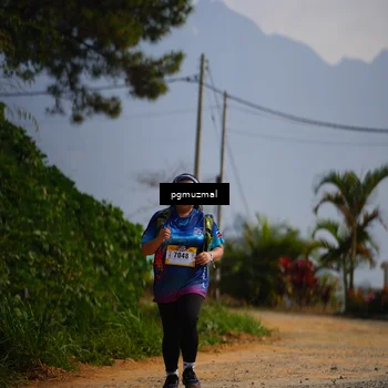 Runner Photo 5276645