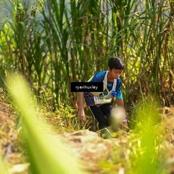 Runner Photo 5276662