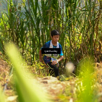 Runner Photo 5276664