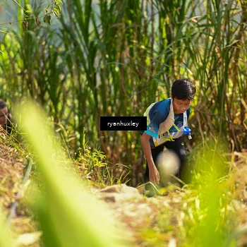 Runner Photo 5276671