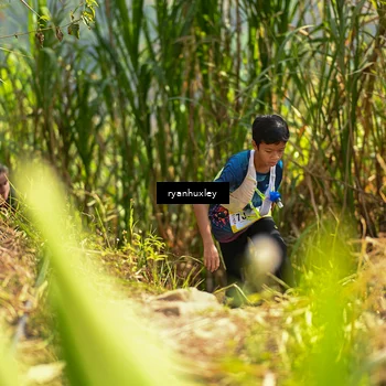 Runner Photo 5276672