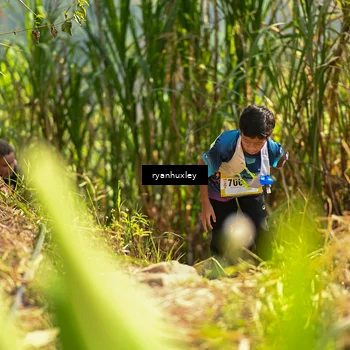 Runner Photo 5276673