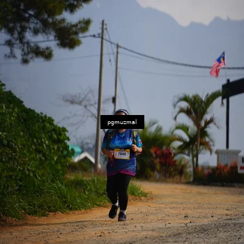 Runner Photo 5276674