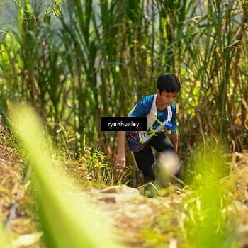 Runner Photo 5276679