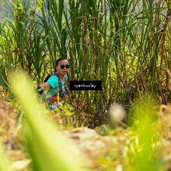 Runner Photo 5276703