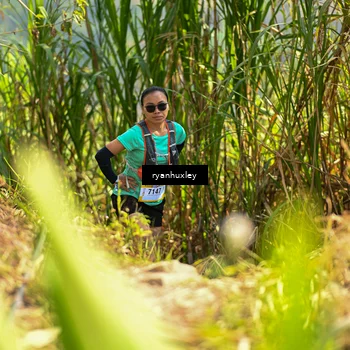 Runner Photo 5276710