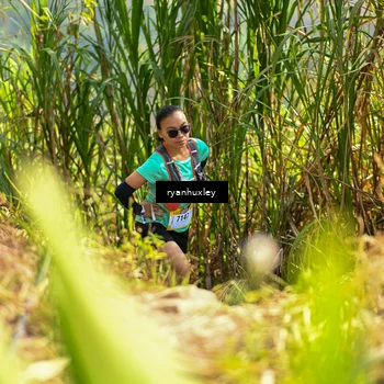 Runner Photo 5276711