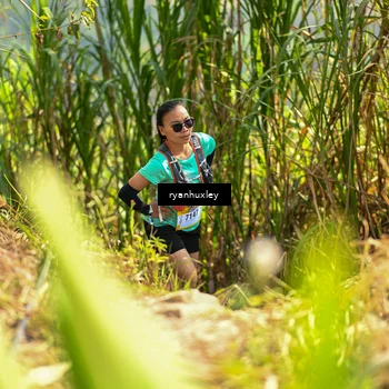 Runner Photo 5276725