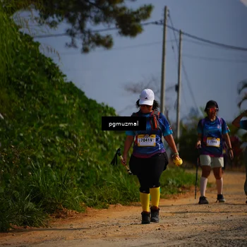 Runner Photo 5276740
