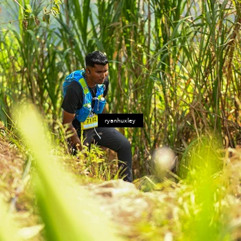 Runner Photo 5276758