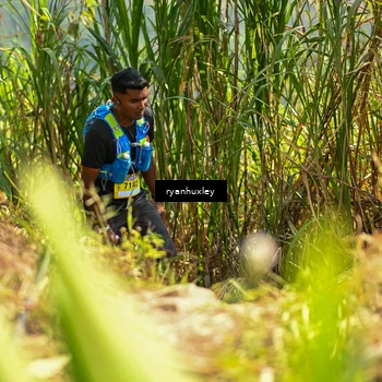 Runner Photo 5276760