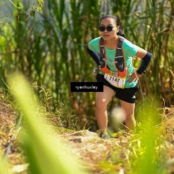 Runner Photo 5276769