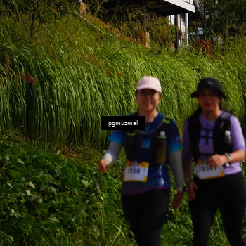 Runner Photo 5276779