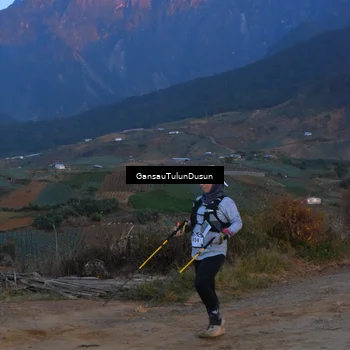 Runner Photo 5276797