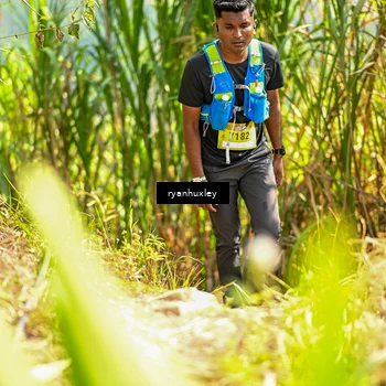 Runner Photo 5276810