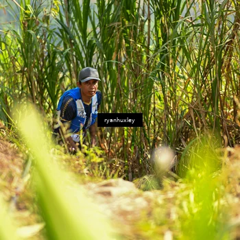 Runner Photo 5276900