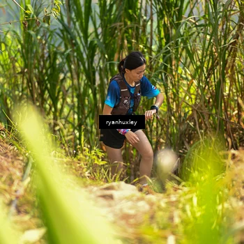 Runner Photo 5276929