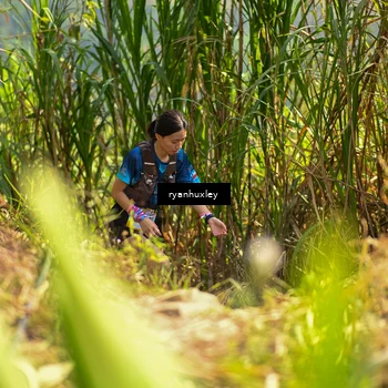 Runner Photo 5276941