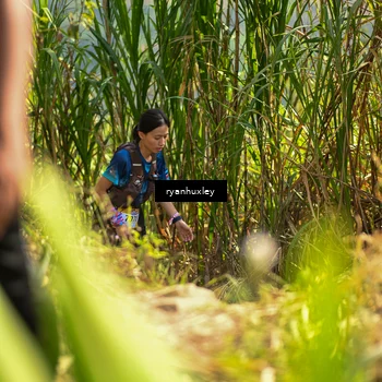 Runner Photo 5276942