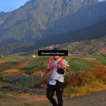 Runner Photo 5276949