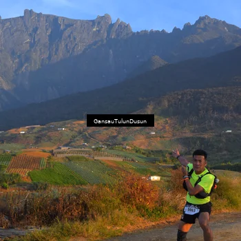 Runner Photo 5276991