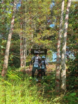 Runner Photo 5277