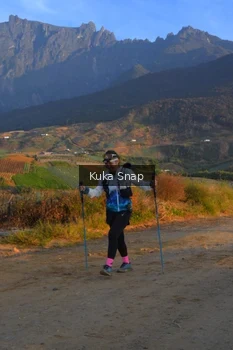 Runner Photo 5277055