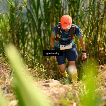 Runner Photo 5277061