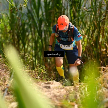 Runner Photo 5277063