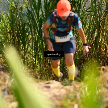 Runner Photo 5277066