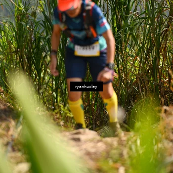 Runner Photo 5277069