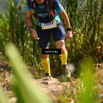 Runner Photo 5277087