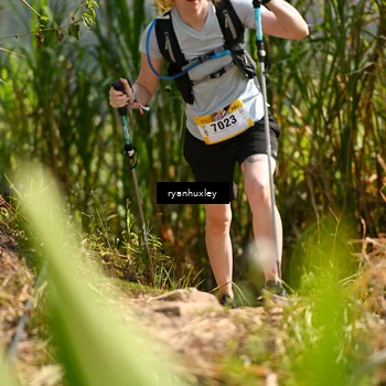 Runner Photo 5277119