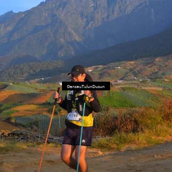 Runner Photo 5277123