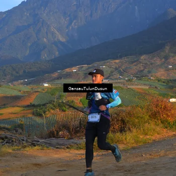 Runner Photo 5277147