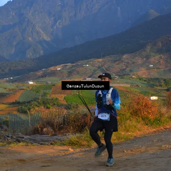 Runner Photo 5277152