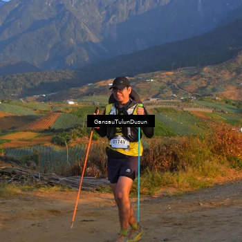 Runner Photo 5277161