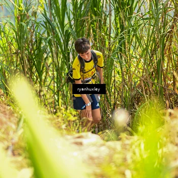 Runner Photo 5277162