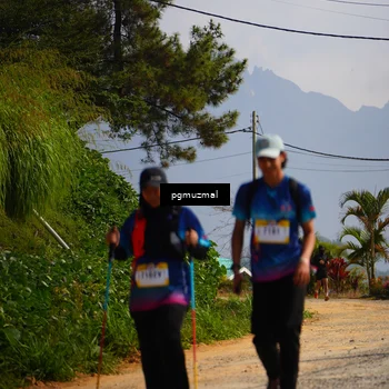 Runner Photo 5277209