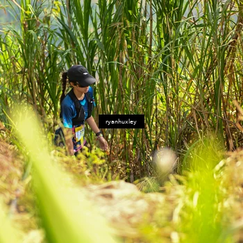 Runner Photo 5277222