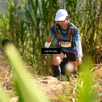 Runner Photo 5277301