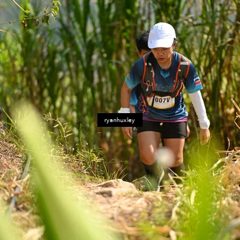 Runner Photo 5277305