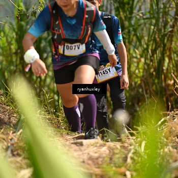 Runner Photo 5277313