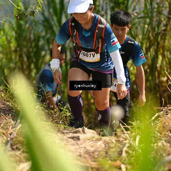 Runner Photo 5277329